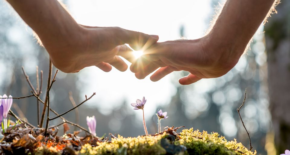 Bild: Gajus / shutterstock.com Kursfoto